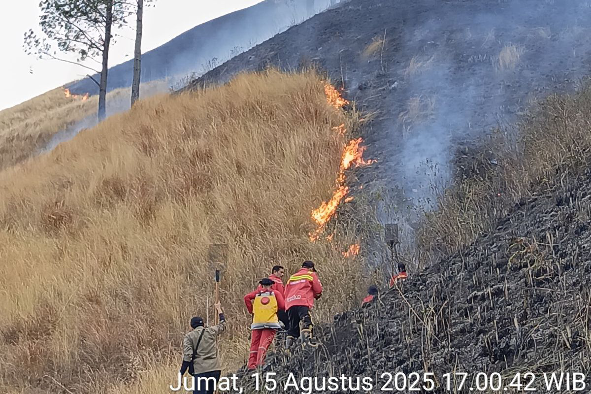 Kebakaran Hutan di Danau Toba: 12 Hektar Terbakar, Wisata Terancam!